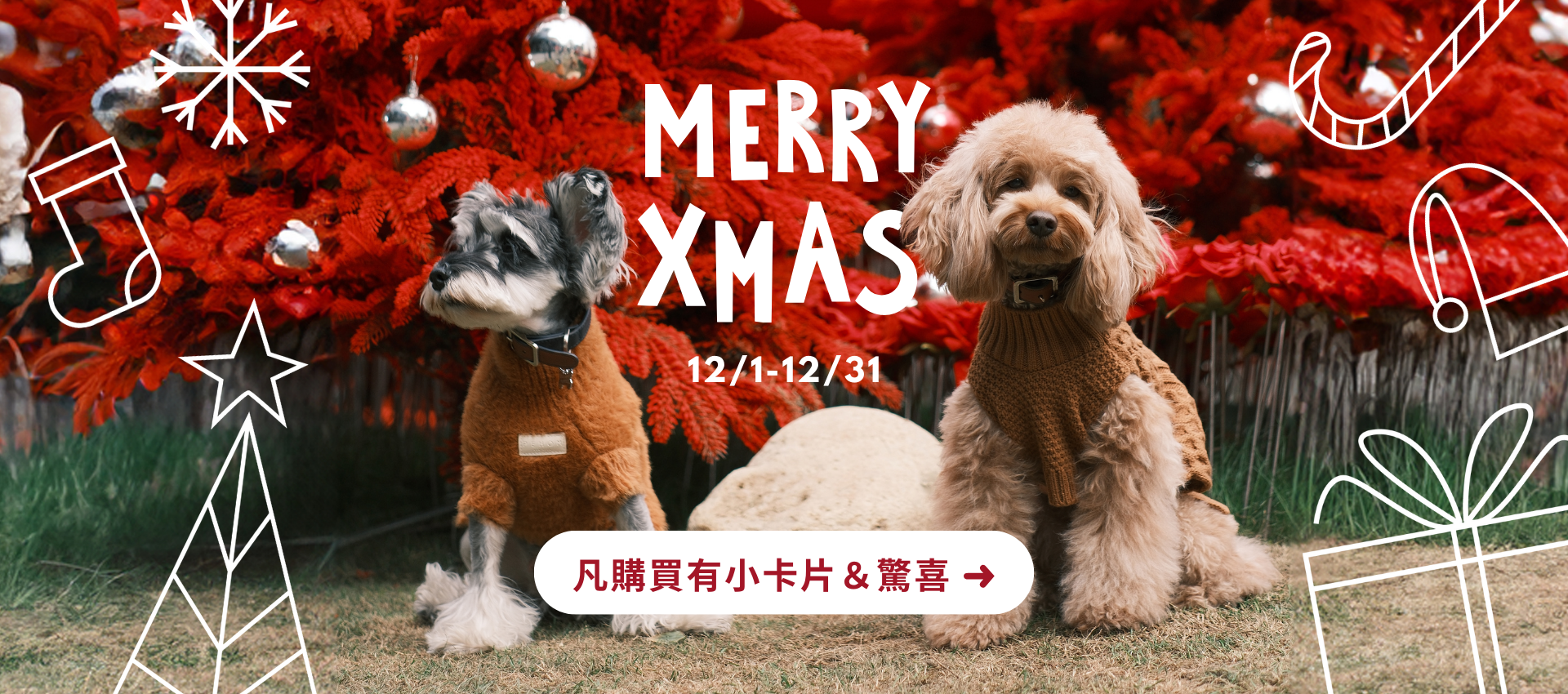 PEHOM | 活動內容