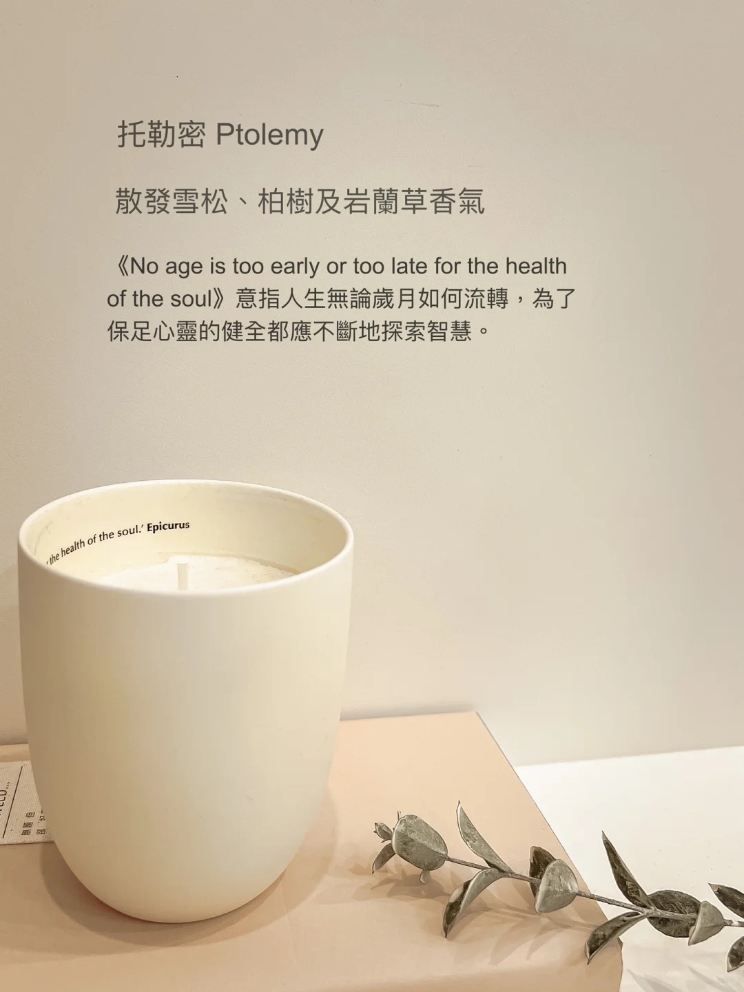 Aesop 托勒密芳香蠟燭 300g