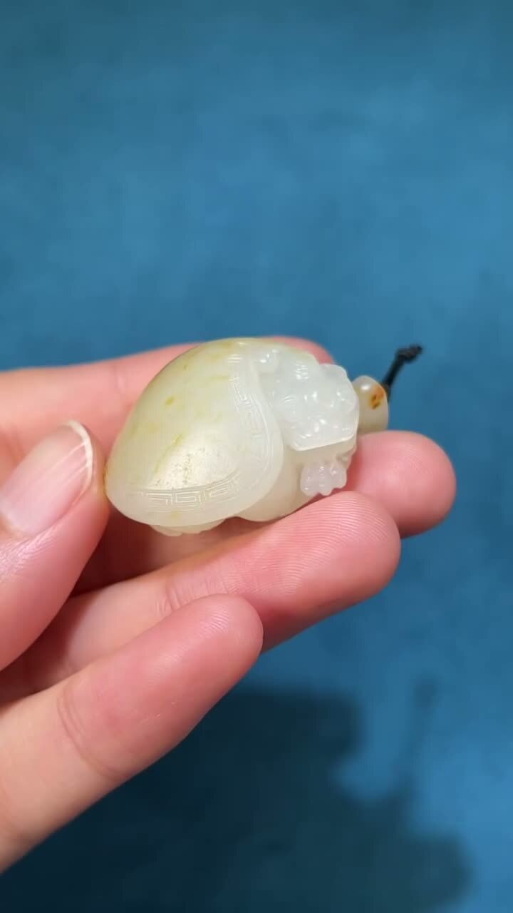 1122235 和田玉籽料龍龜