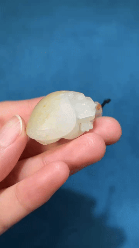 1122235 和田玉籽料龍龜