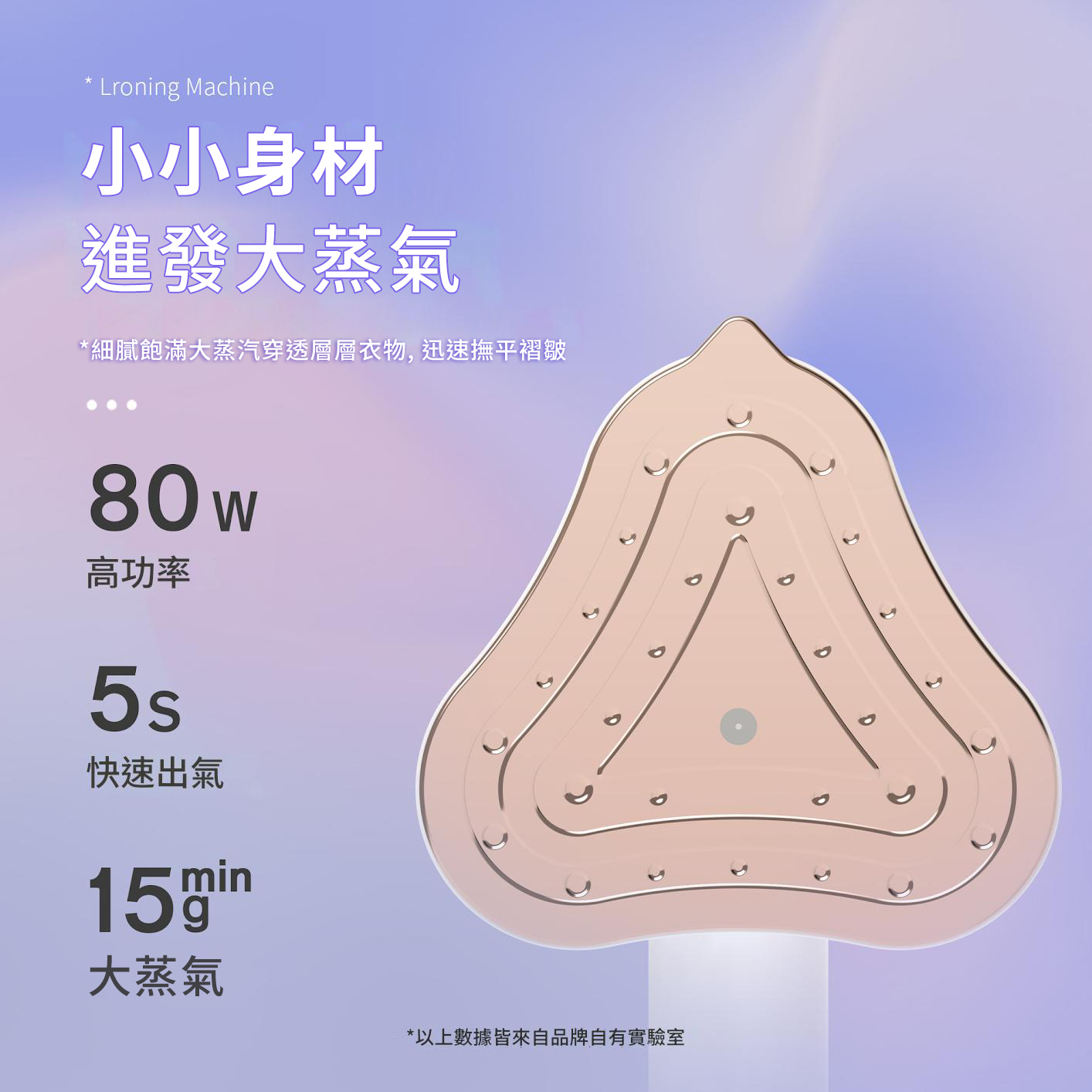 日本TSK 便攜式手持蒸汽燙斗--高溫殺菌消毒 P2731