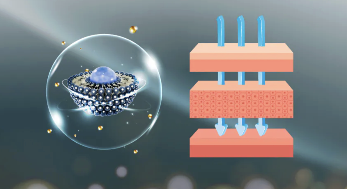 藻針透過被按壓進肌膚，成千上萬根微小的骨針會刺穿角質層，讓後續的保養成分更容易滲透進肌膚深層。