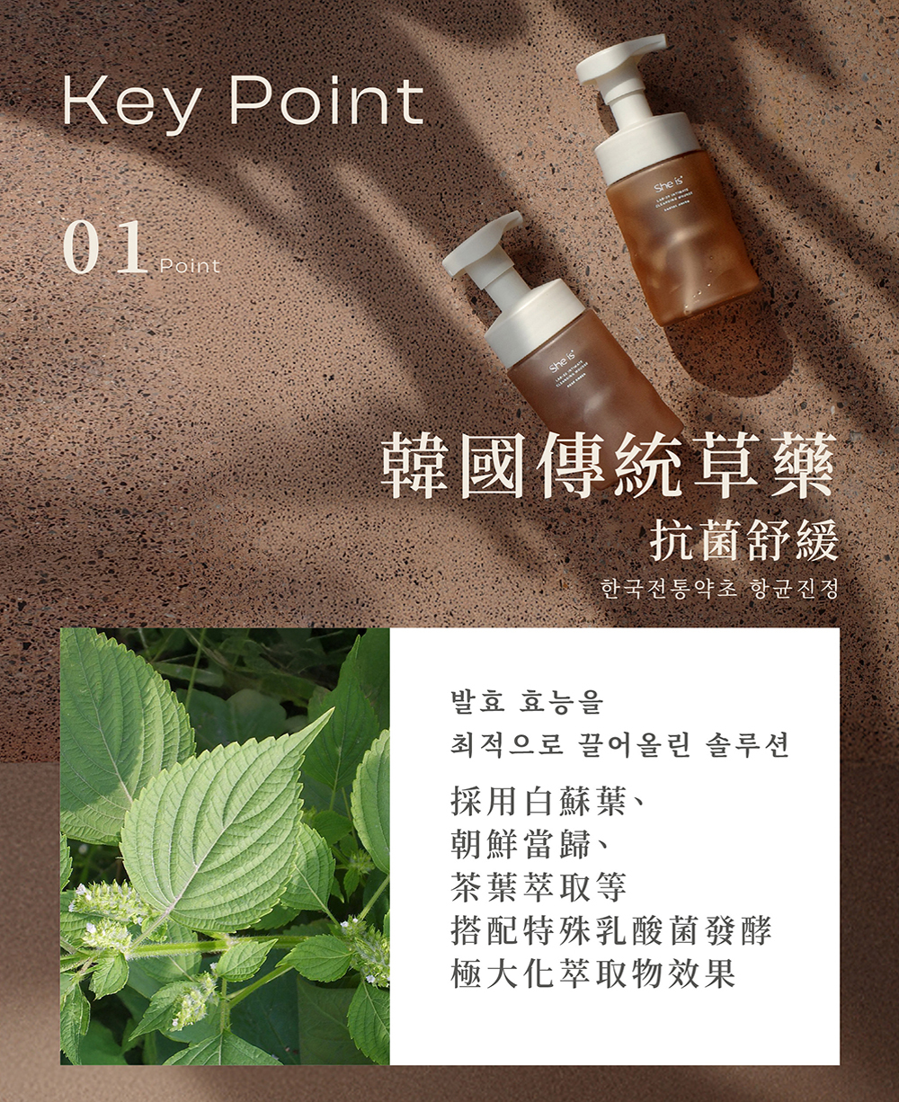 重點1採用韓國傳統草藥,搭配特殊乳酸菌發酵