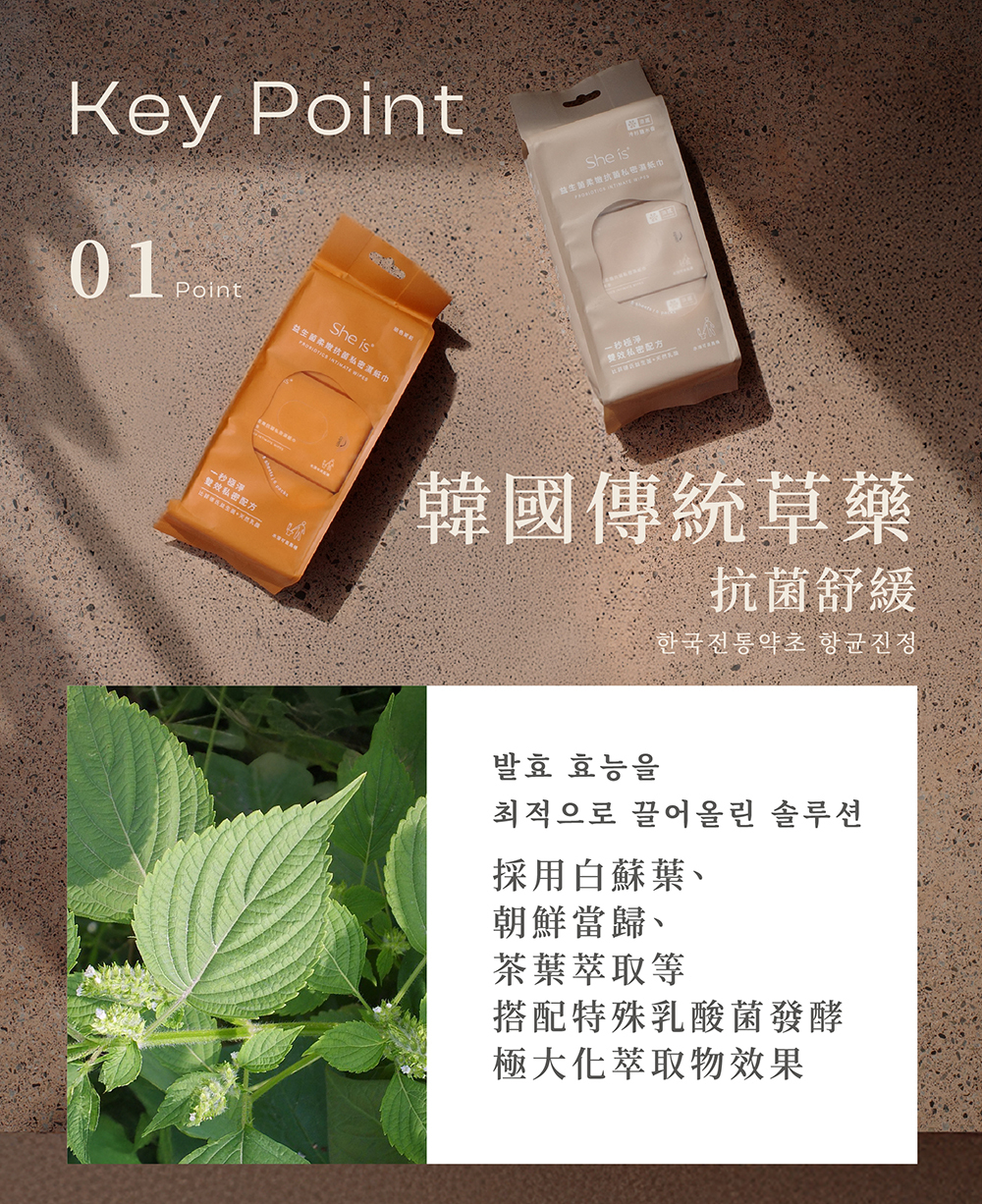 重點1採用韓國傳統草藥，搭配特殊乳酸菌發酵