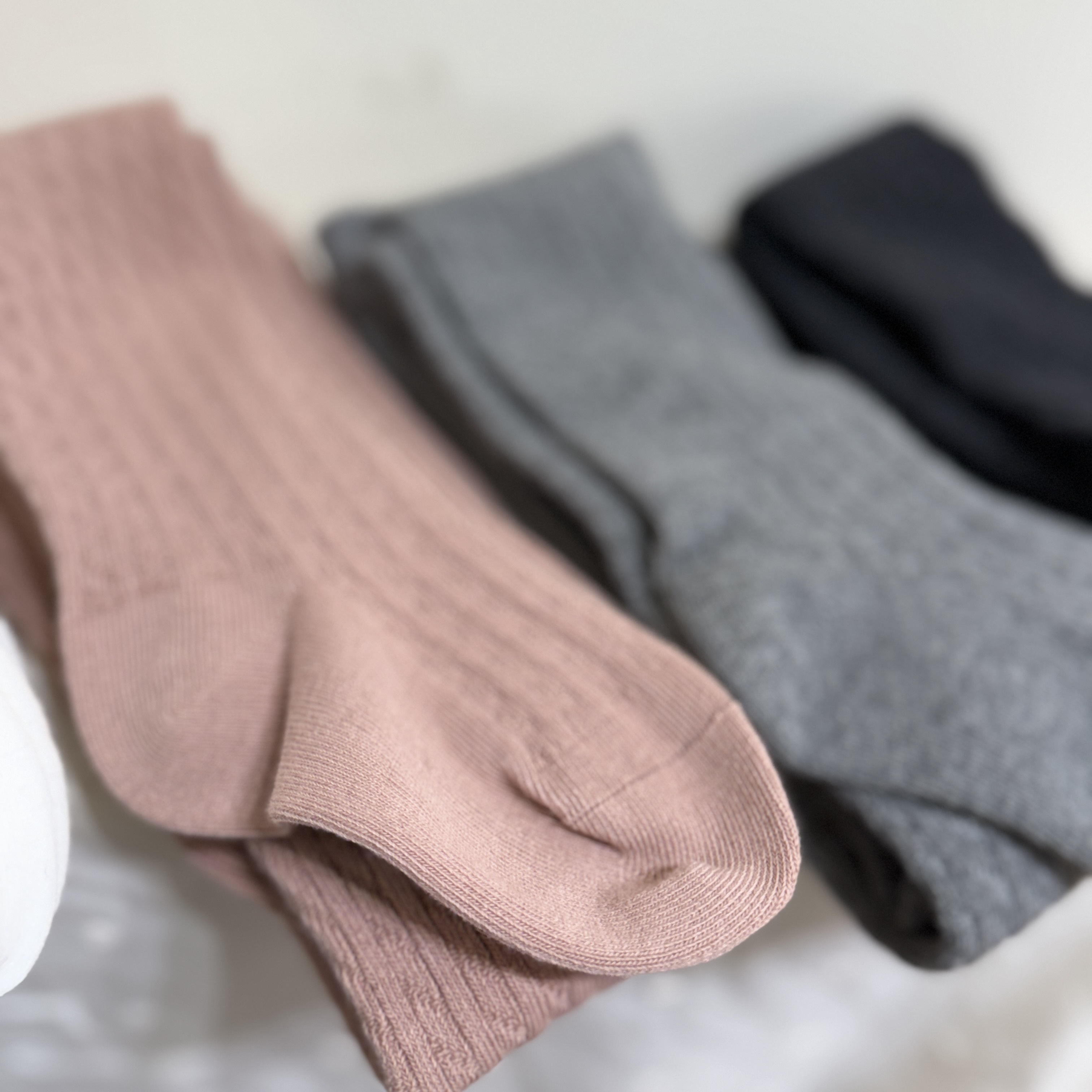 25冬 打底褲襪 (四色)