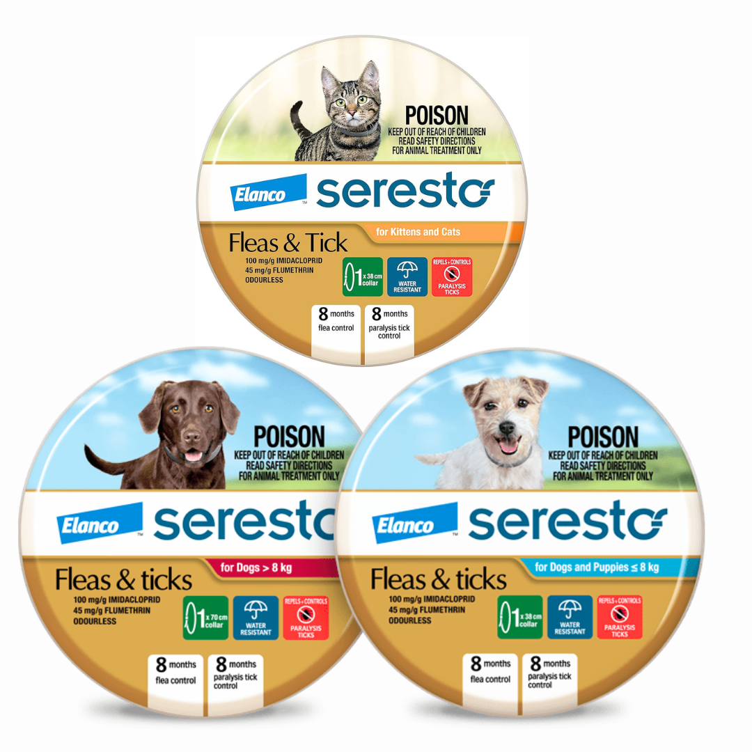 [代訂] Seresto 防牛蜱防蚤頸帶 - 黃盒 (平行進口) [貓犬用]