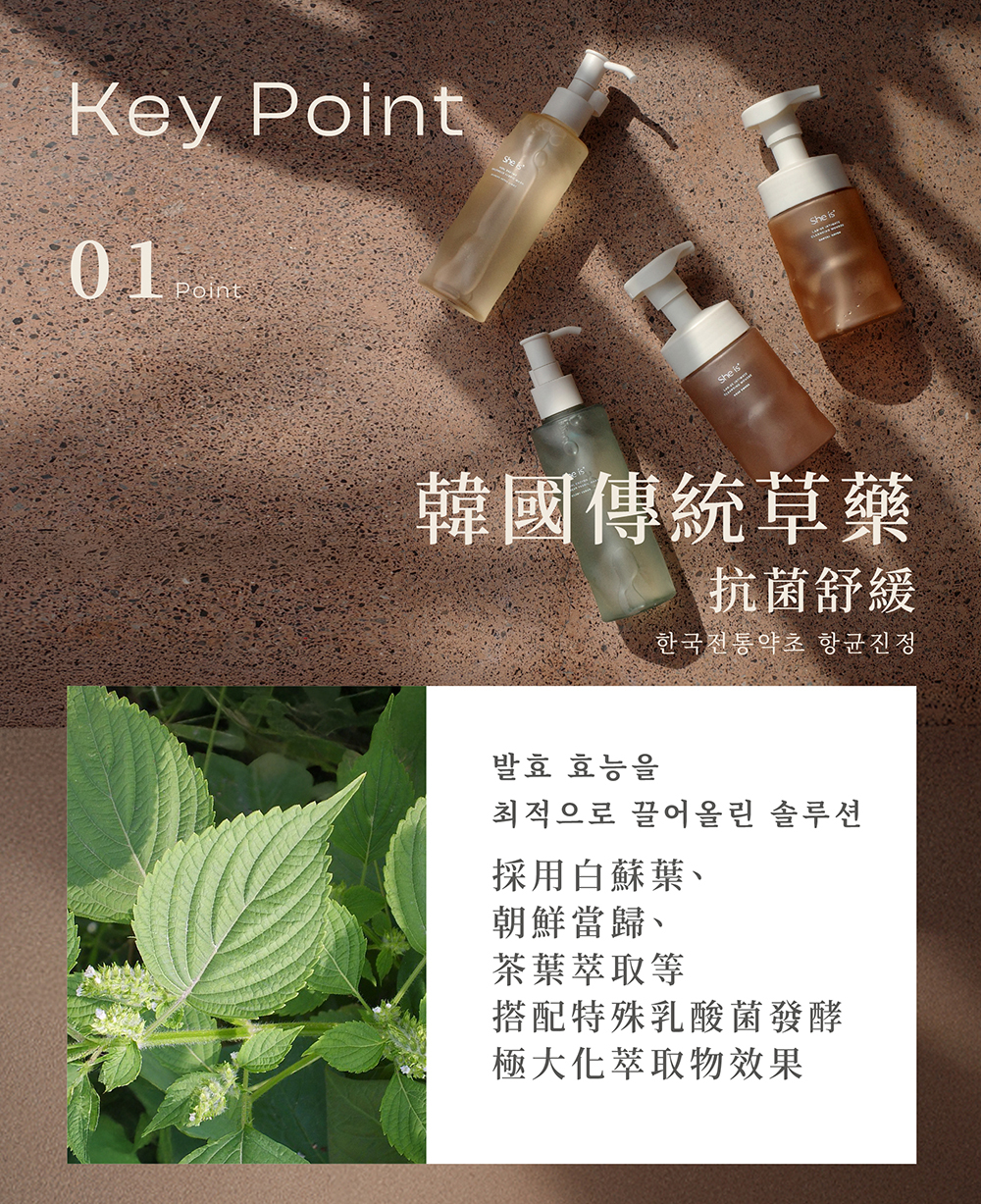 重點1採用韓國傳統草藥,搭配特殊乳酸菌發酵