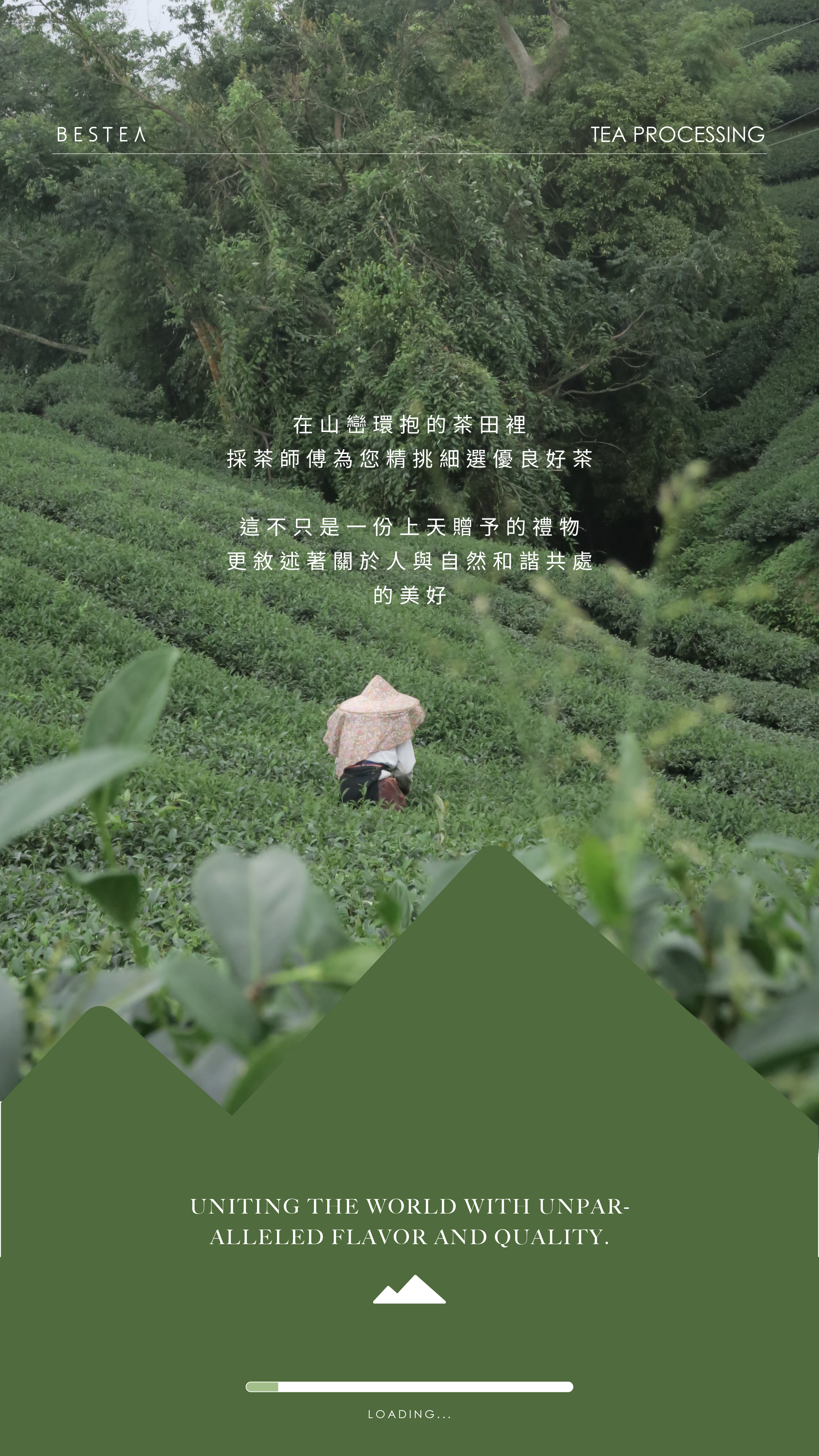 茶席生活 Tea Table Atmosphere