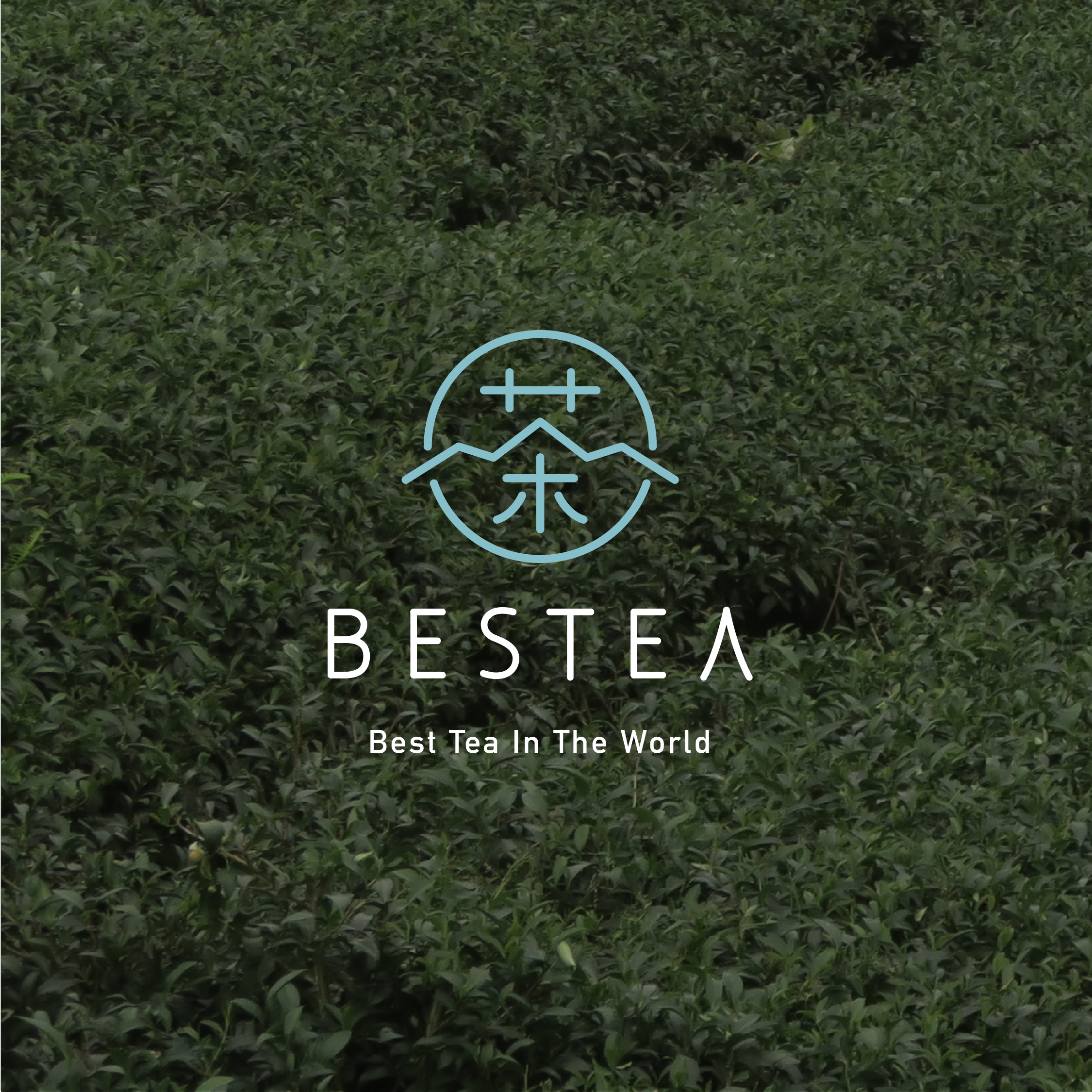 BESTEA 茶藝與現代美學 BESTEA – Modern Tea Aesthetics