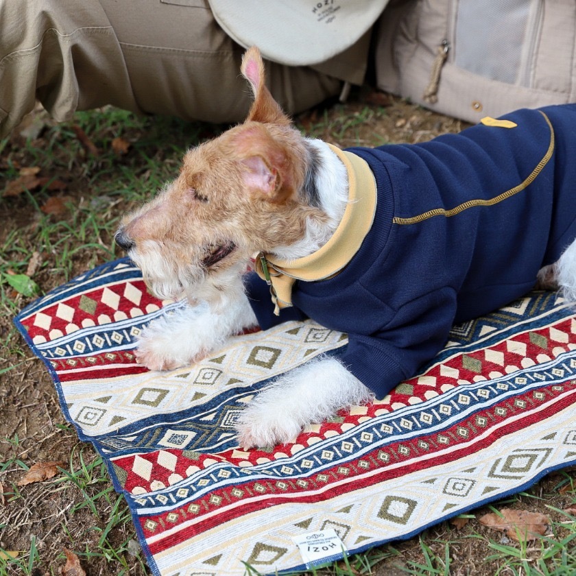 Ethnic Rug 民族風地毯