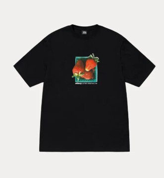 2025SS STUSSY BERRIES TEE 草莓 LOGO