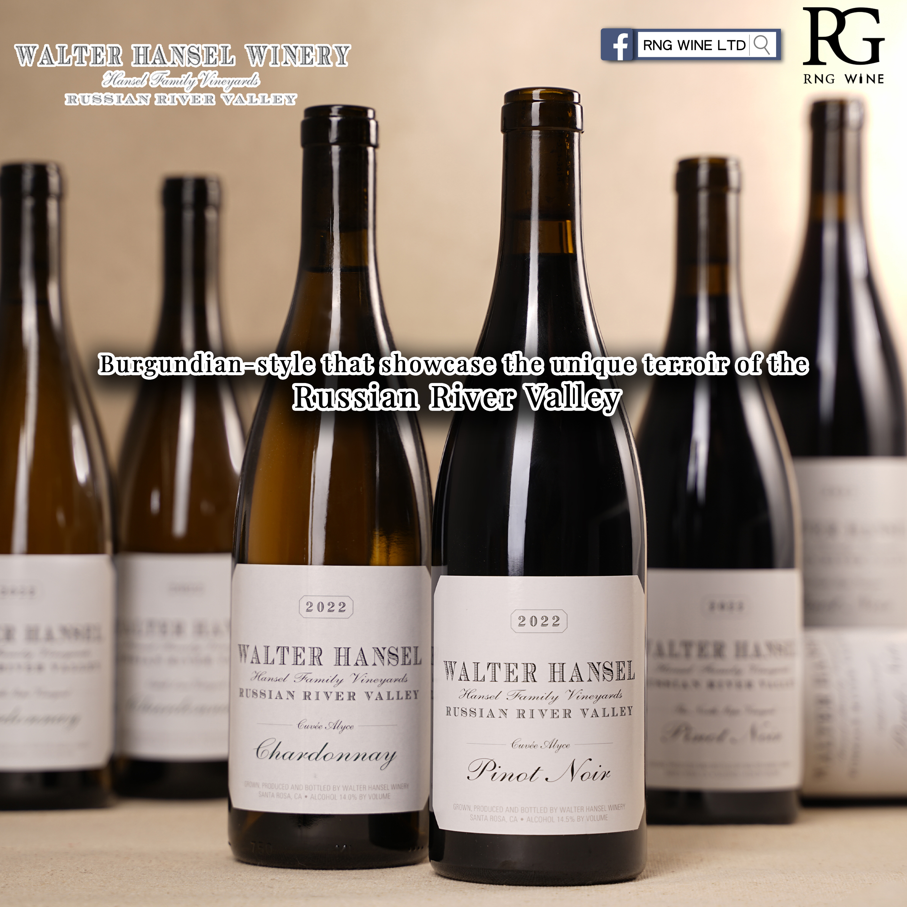 Walter Hansel Pinot Noir Cuvee Alyce 2022 (V93)