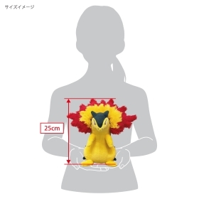 「ACG.GO」「預購」火爆獸公仔 (S) Pokemon 精靈寶可夢