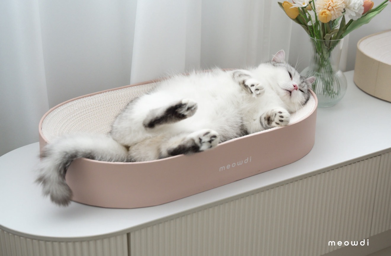 Meowdi 喵的｜懶洋洋貓抓板（新升級白紙芯）