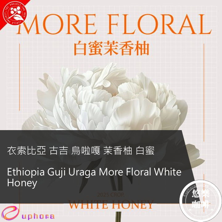 衣索比亞 古吉 烏啦嘎 茉香柚 白蜜