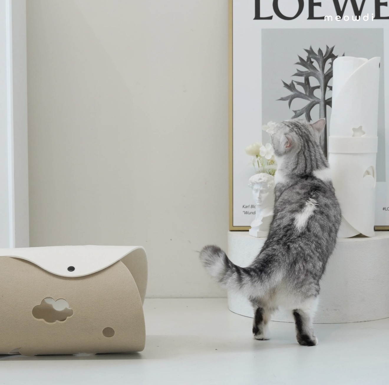 Meowdi 喵的｜天空雲朵毛氈隧道 (培茶拿鐵)