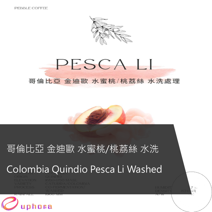 哥倫比亞 金迪歐 水蜜桃/桃荔絲 水洗