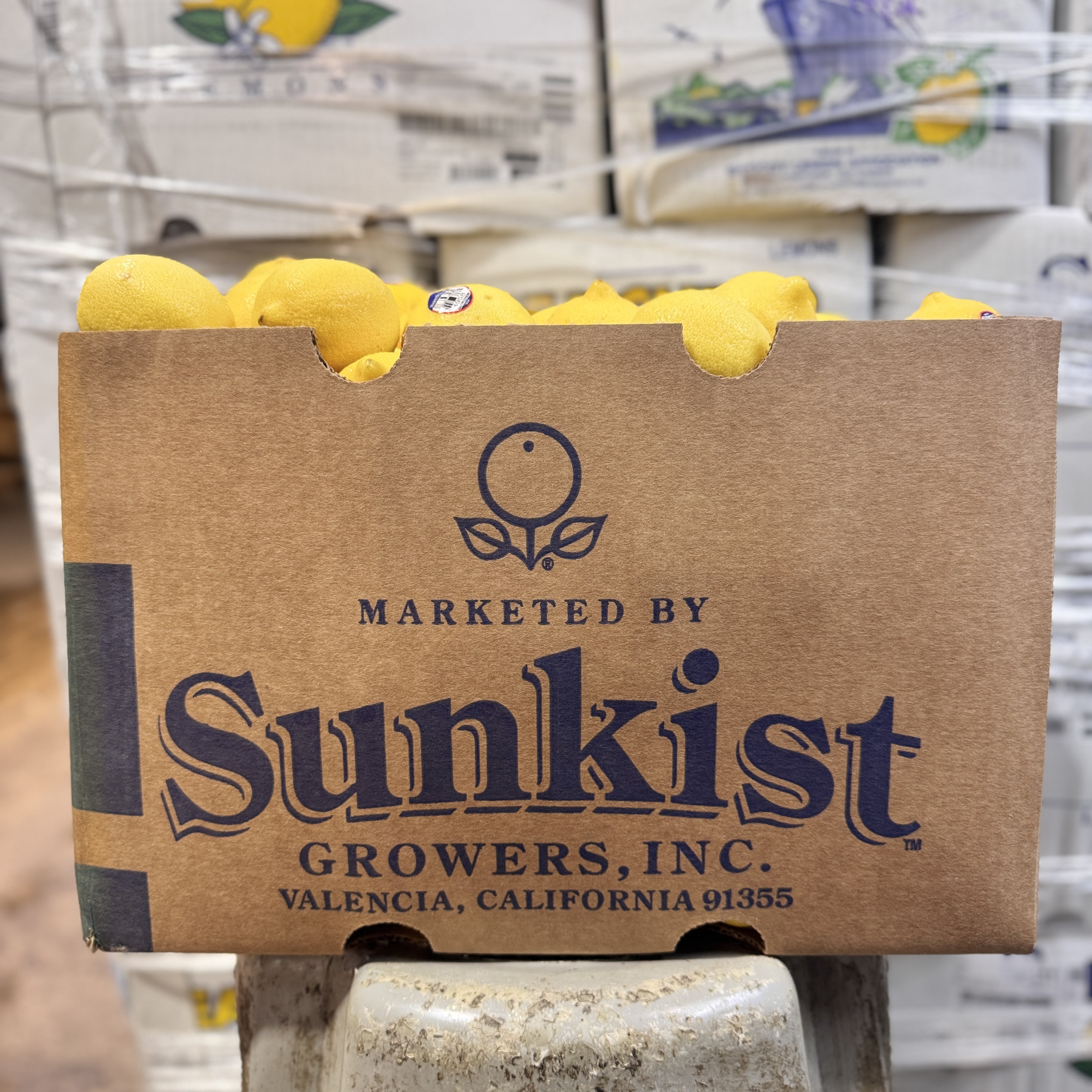 Healthy Express - Sunkist Lemon | 4958 Lemon