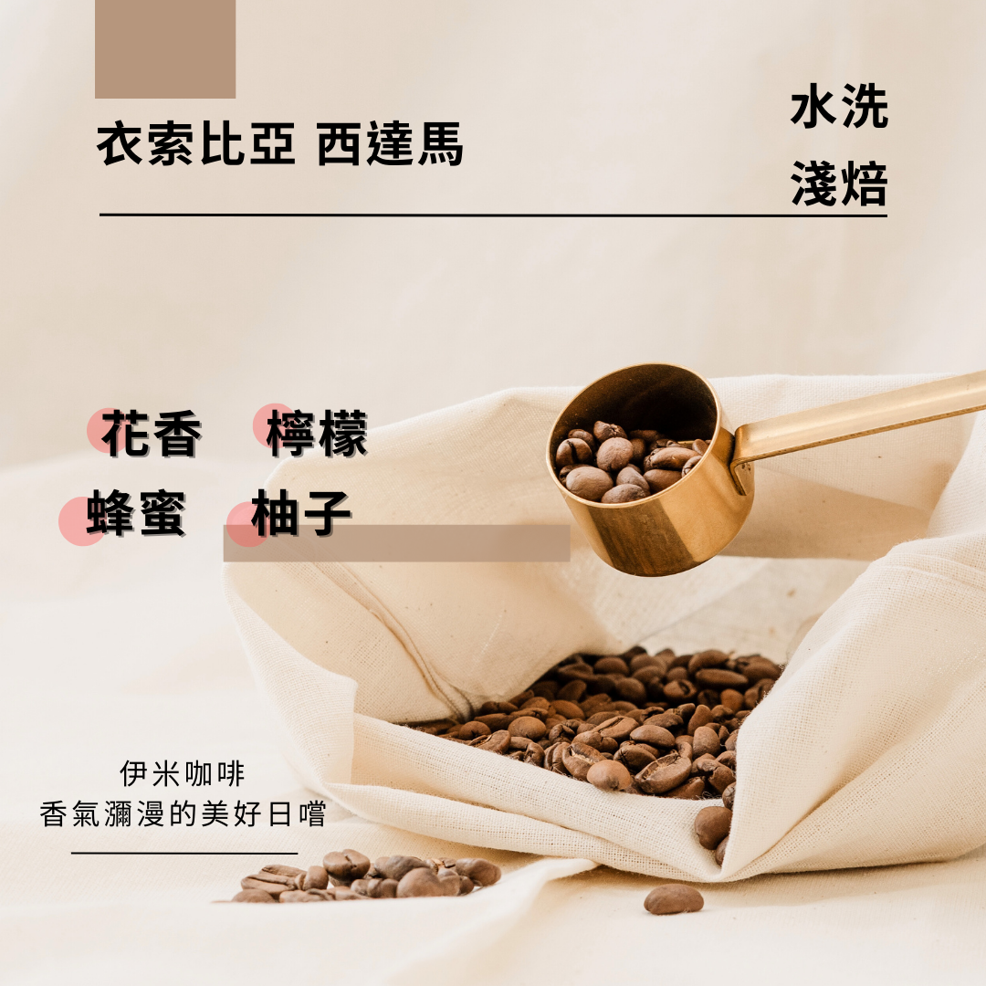 衣索比亞 水洗  西達馬 /半磅