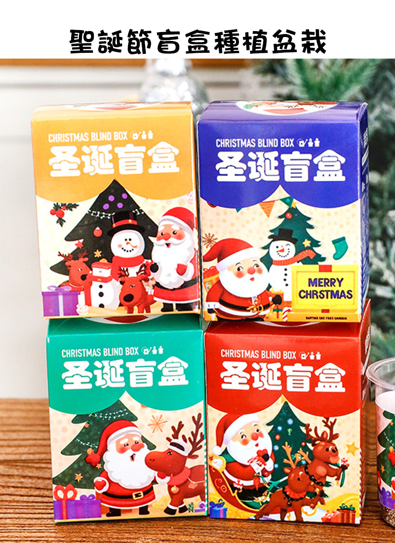 聖誕節盲盒種植盆栽 A0169