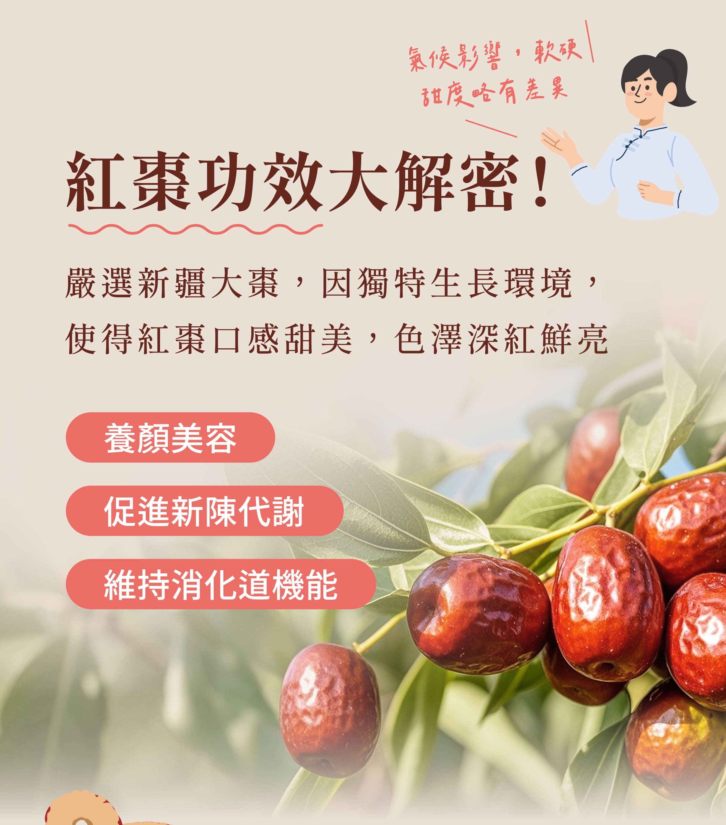 登義切片紅棗原料紅棗的功效