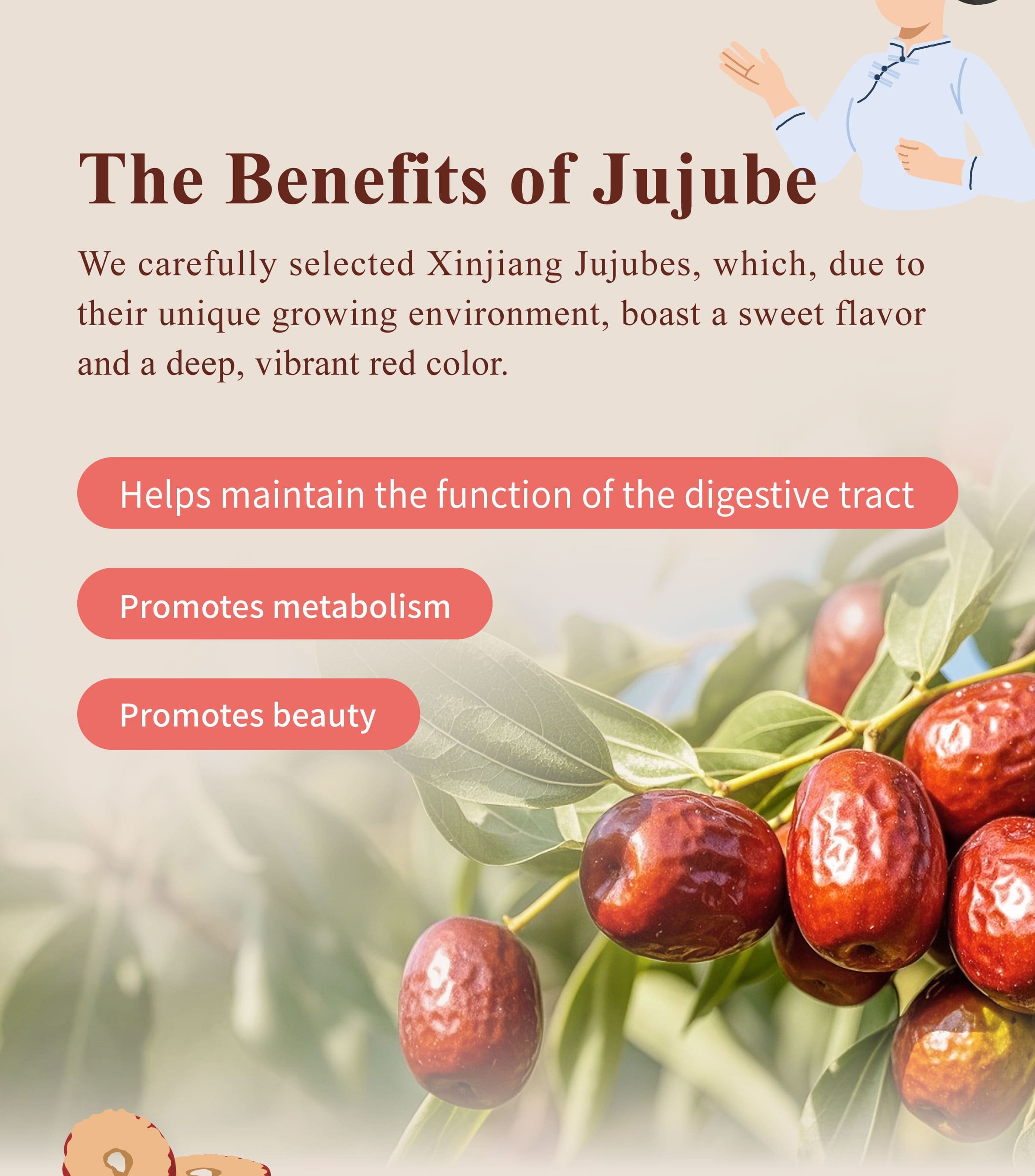 The Benefits of Dengyi Jujube