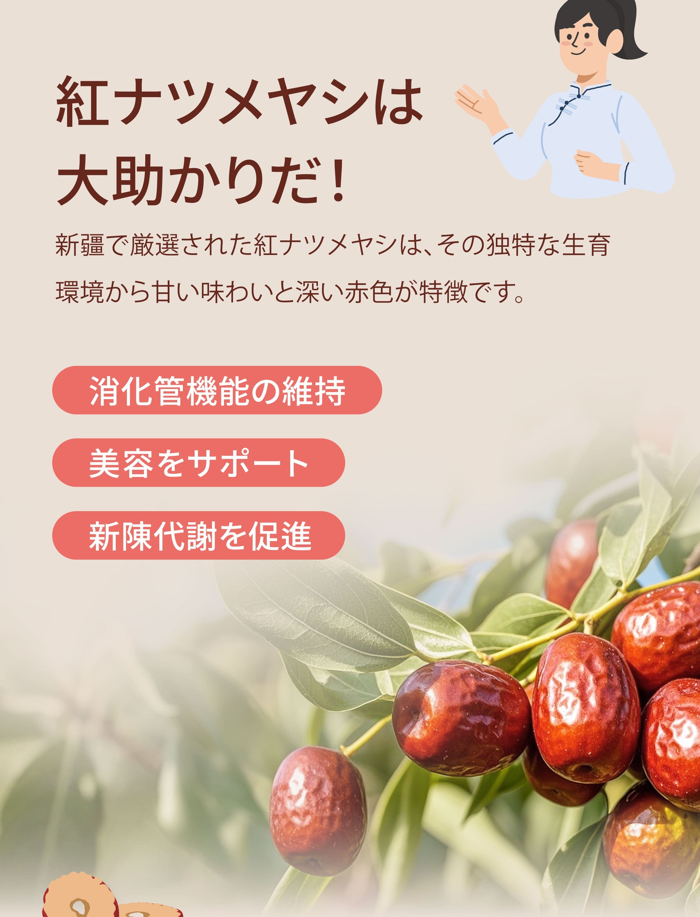 赤いなつめスライス  の紹介