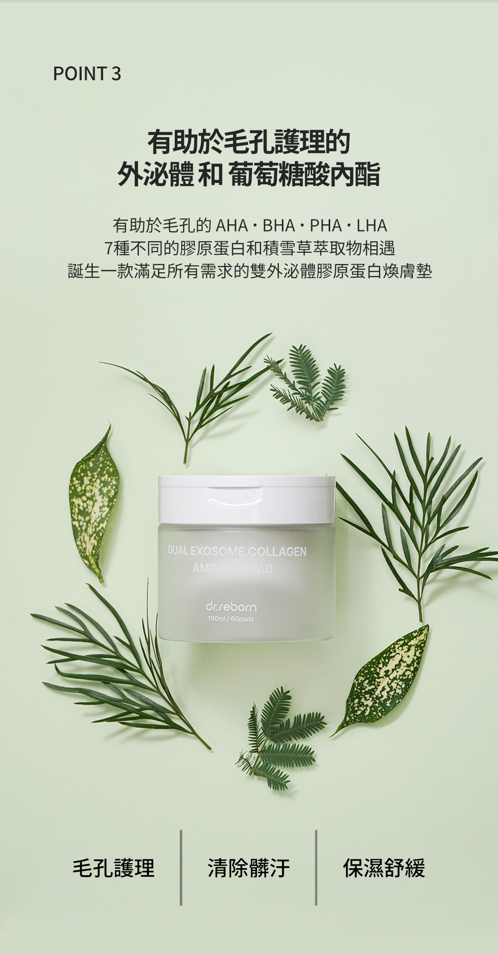 富含敏感肌適用的酸類成分