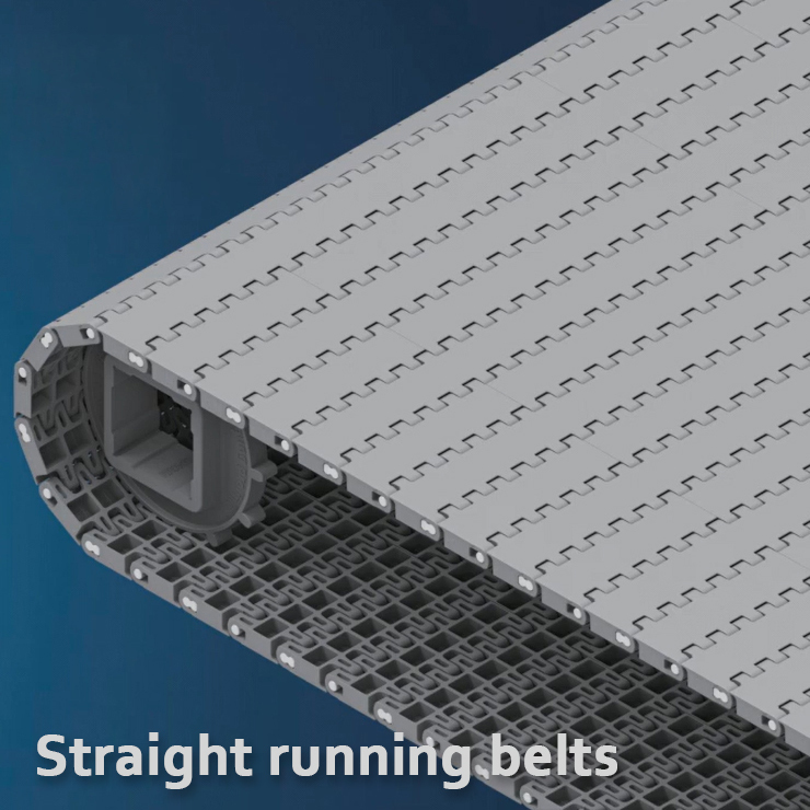 Forbo Siegling Prolink (Modular belt)