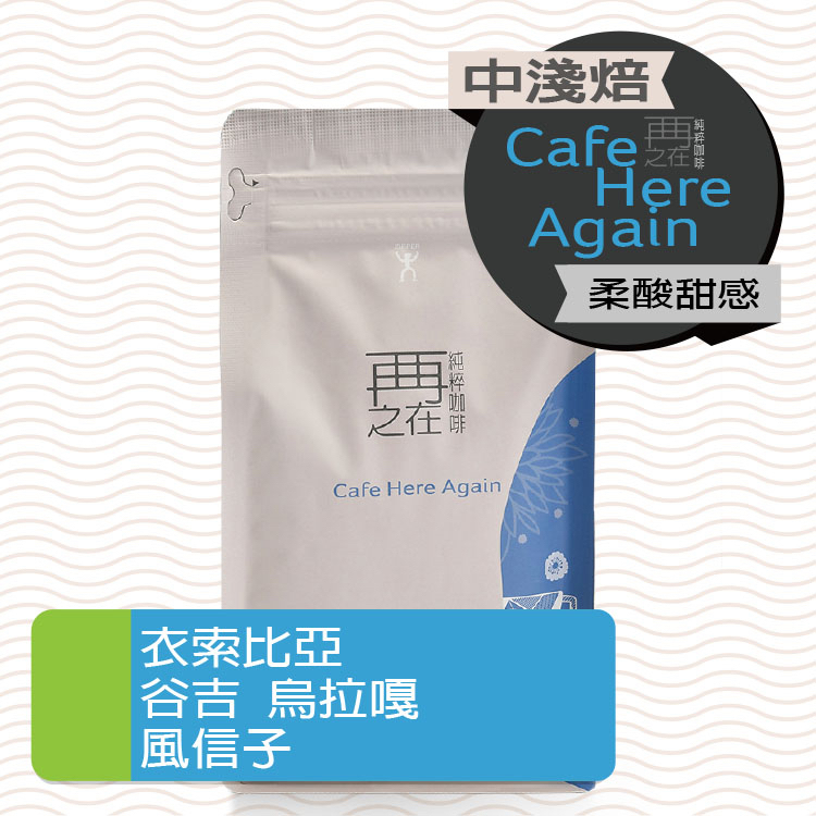 衣索比亞 古吉 烏拉嘎 風信子 G1