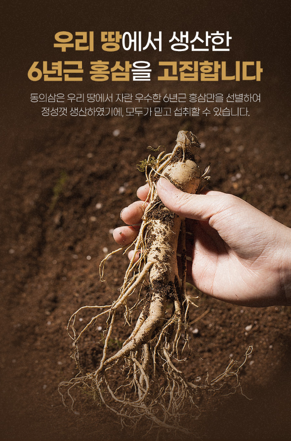 【直播】LL1202401 韓國東醫蔘 VIP 六年根紅蔘濃縮液 (10g x 100條) [買一送一]