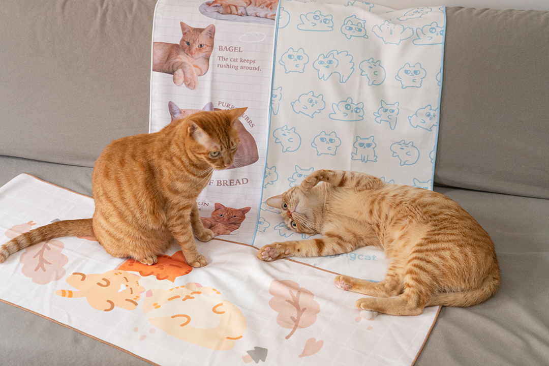 薯餅薯泥薯球躺在毛巾上