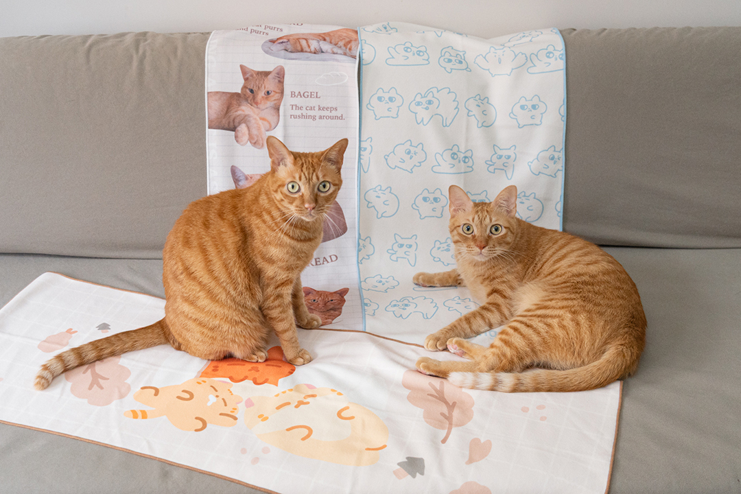 薯餅薯泥坐在擦頭巾上