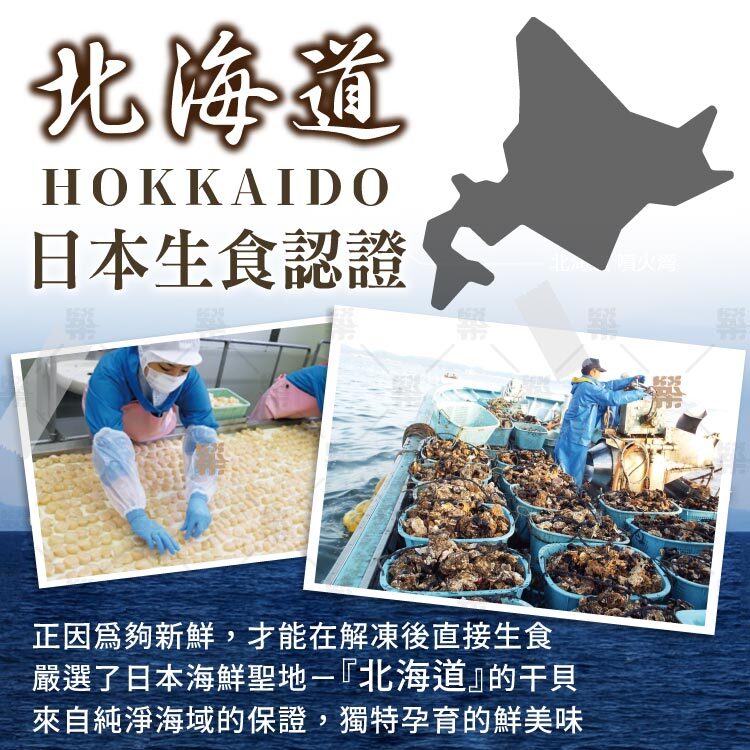 北海道純淨海域捕撈生食級認證干貝