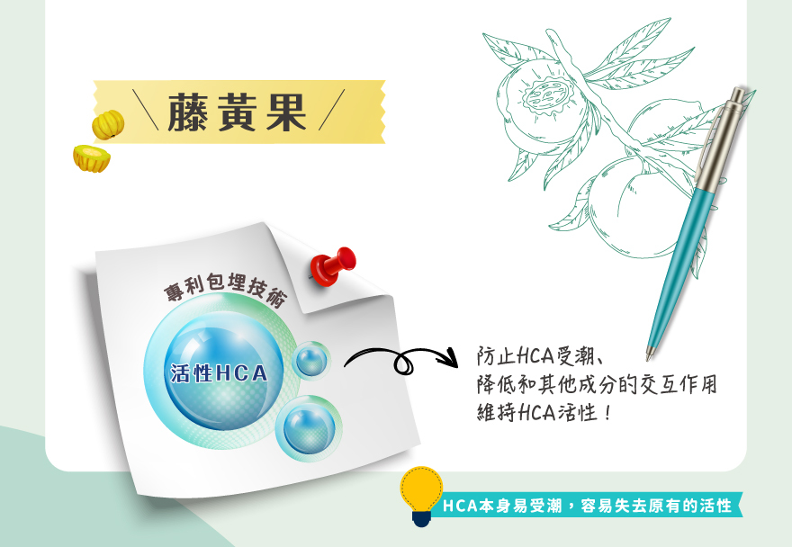 藤黃果保健產品