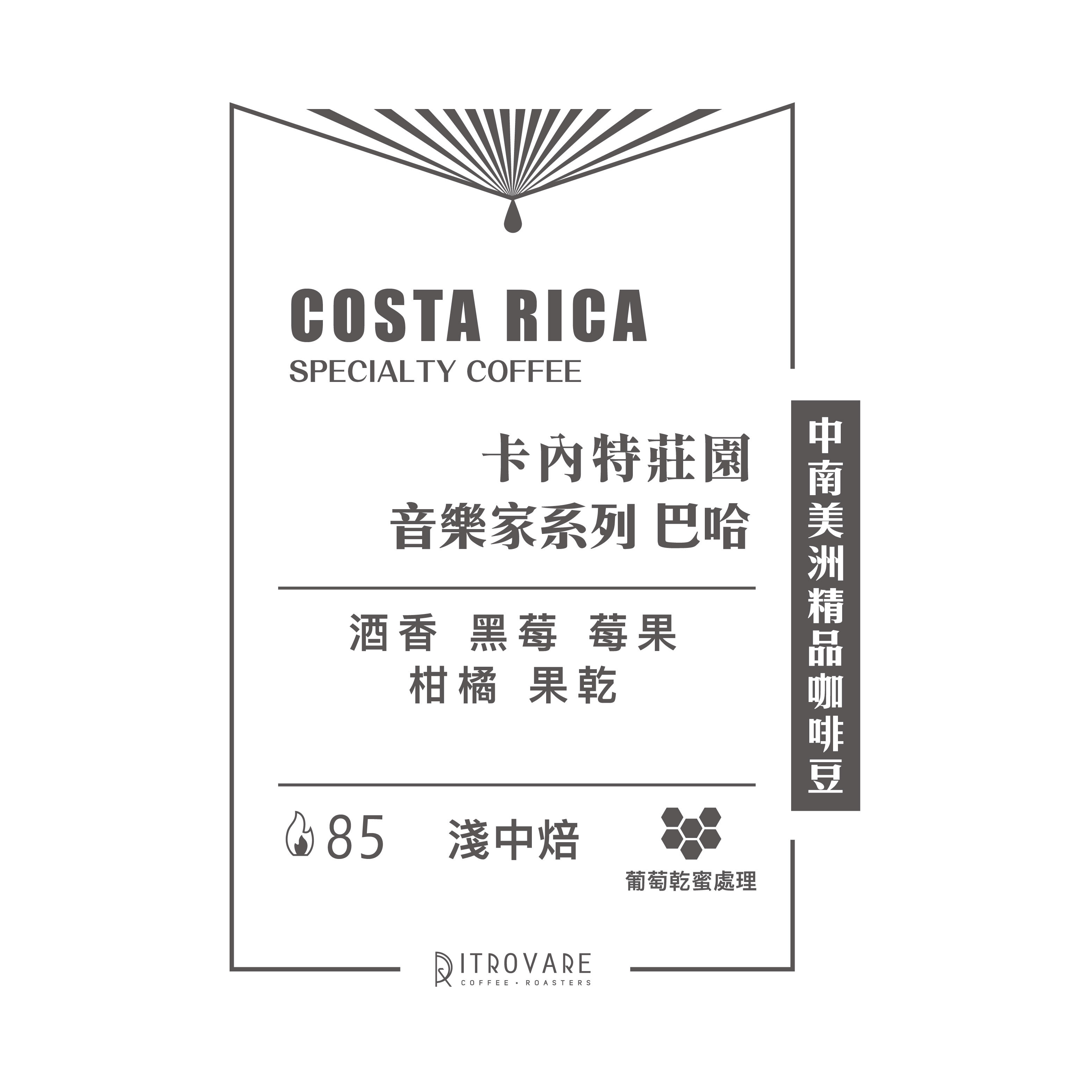 【中南美洲精品咖啡豆】哥斯大黎加 音樂家系列 巴哈