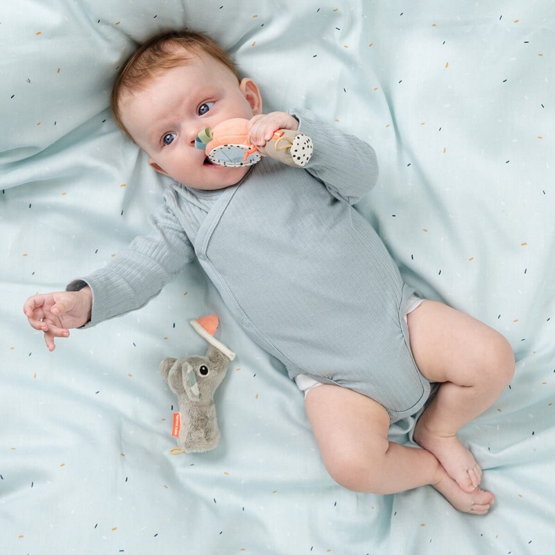 Done by Deer - 感官搖鈴鏡套裝 慶典系列 (混色)