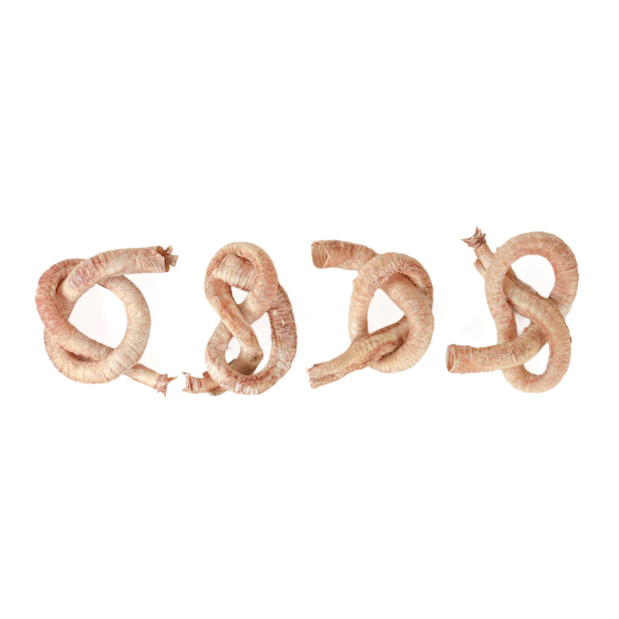 TREAT ME 食癒毛小孩 ｜滅火氣