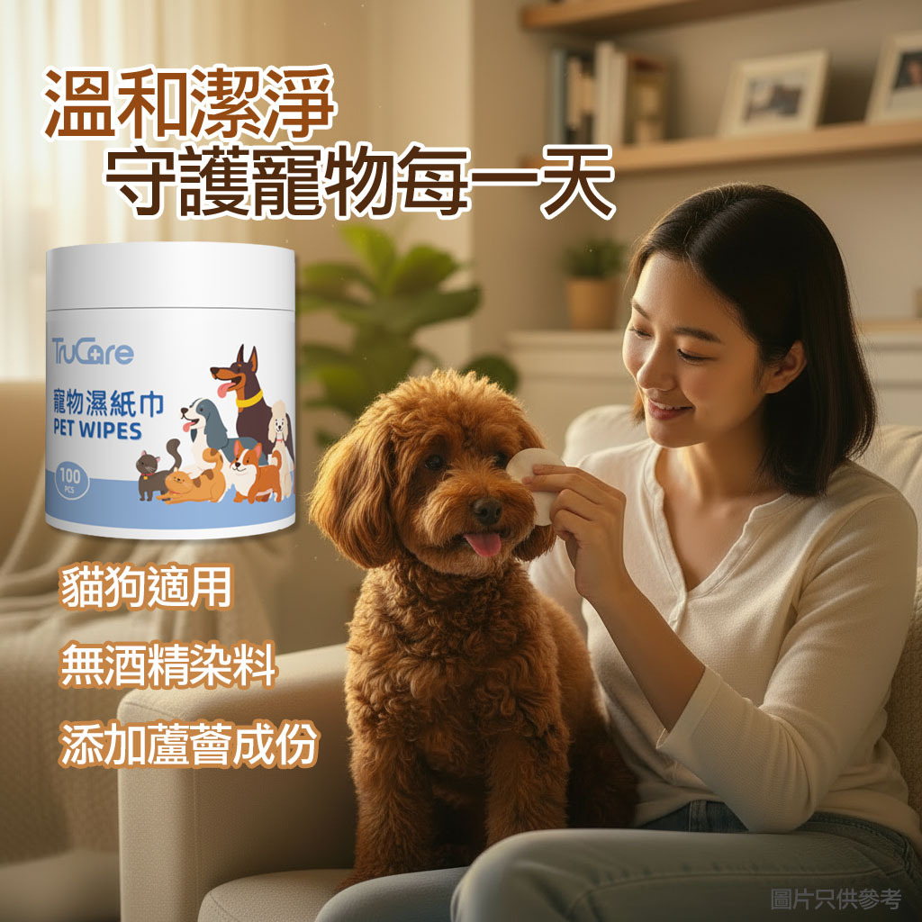 寵物濕紙巾（100片裝）