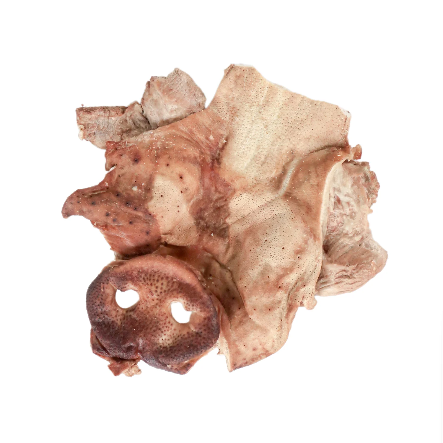 TREAT ME 食癒毛小孩 ｜豬八戒