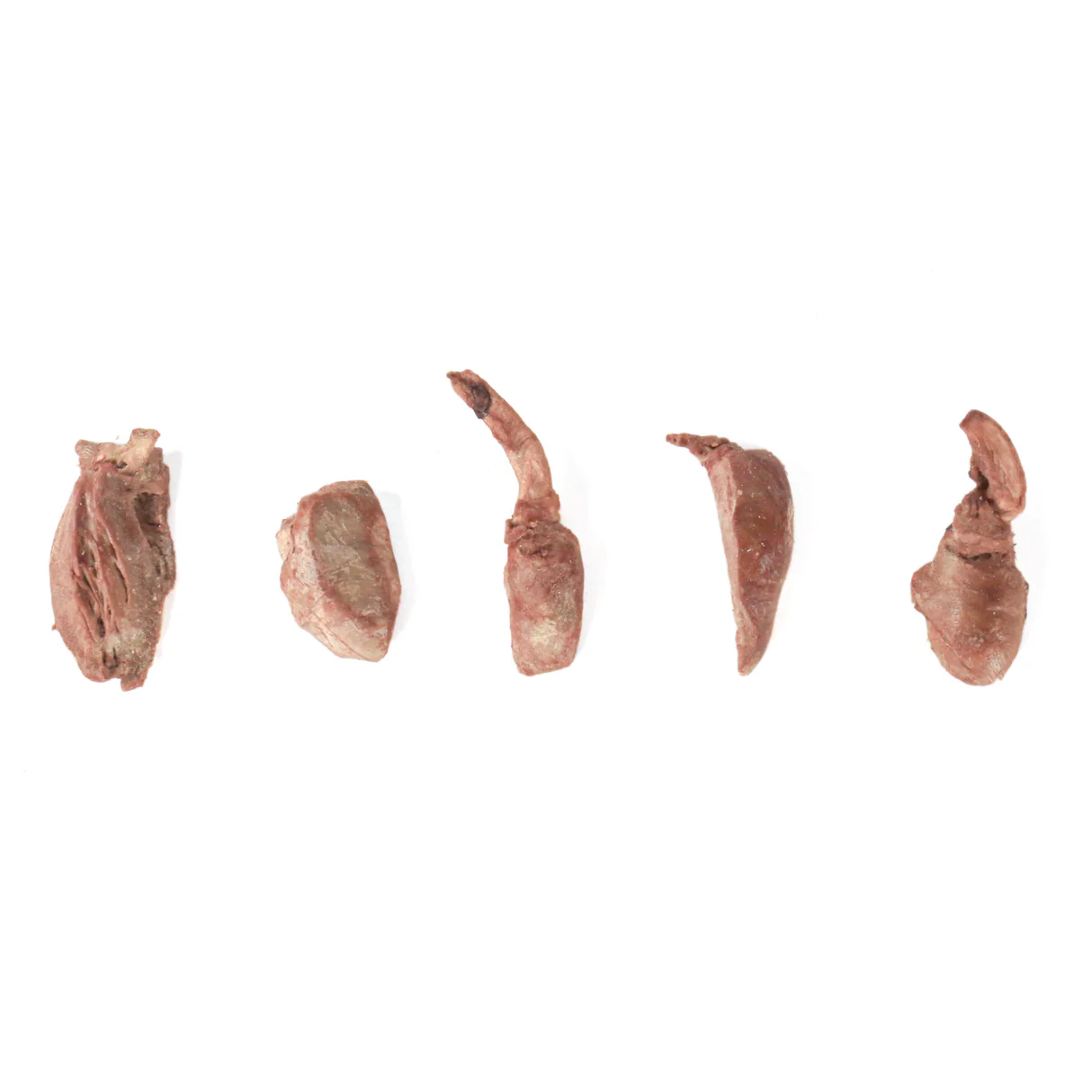 TREAT ME 食癒毛小孩 ｜火雞攻心