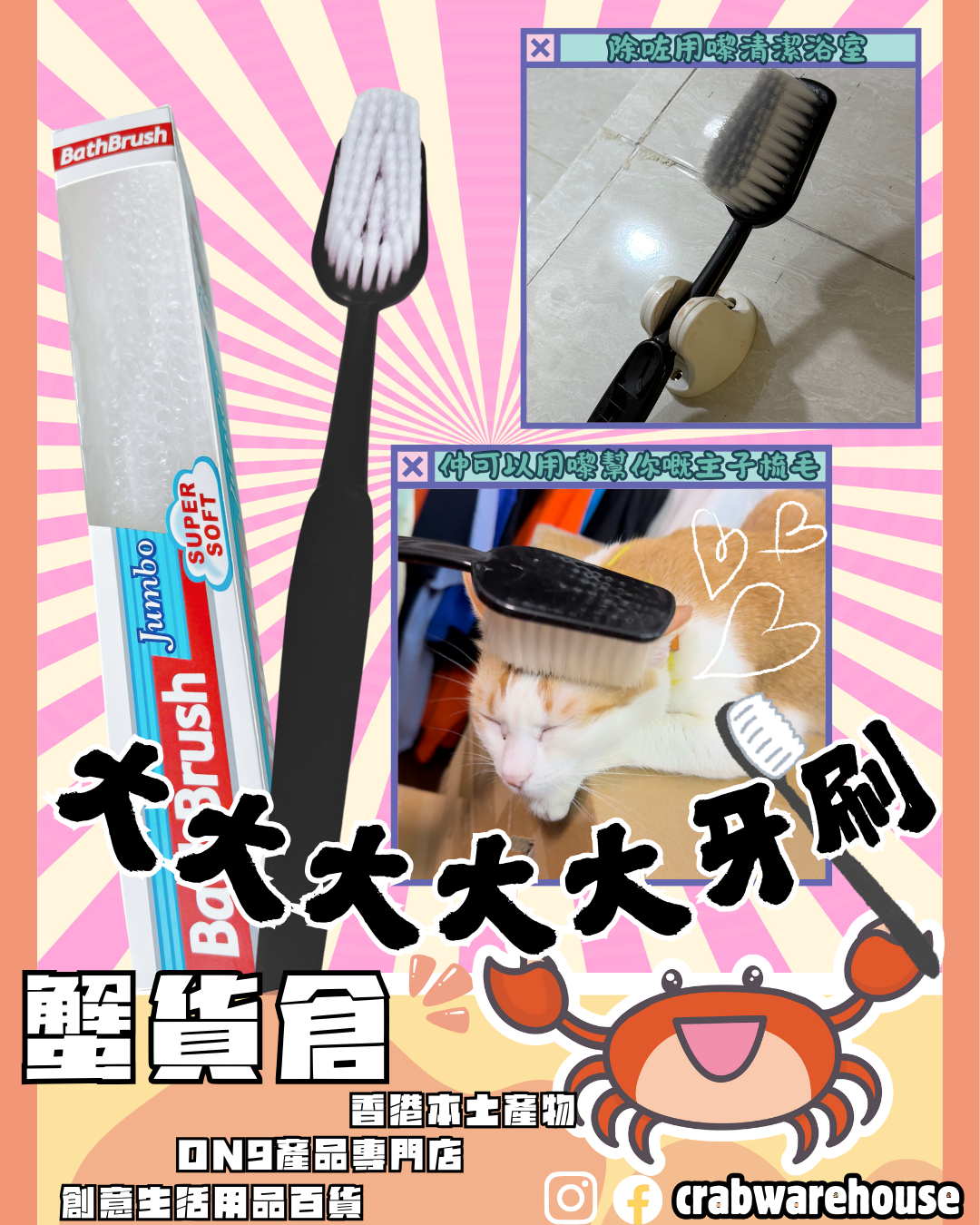 大大大大大牙刷|主子最愛 刷背可用 柔順刷毛|聖誕禮物 交換禮物