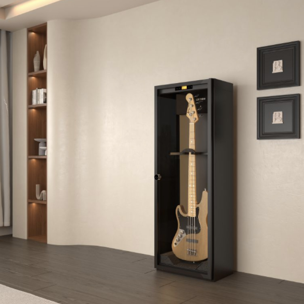 LENTHEM LENTHEM / DMI-195D / DMI-195DT 防潮櫃 (電貝斯適用) 第 2 張圖片｜三峽吉他 / Bass