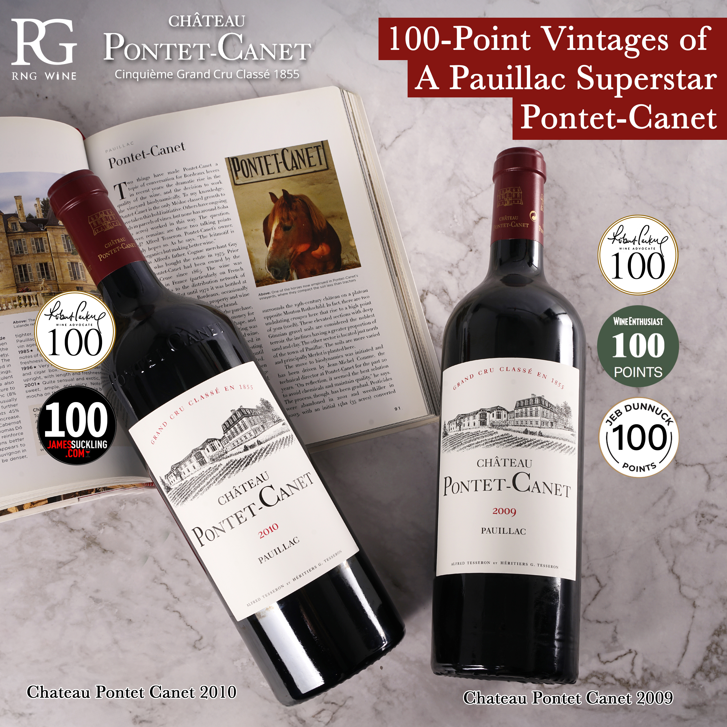 Chateau Pontet Canet 2010 (RP100, JS100)