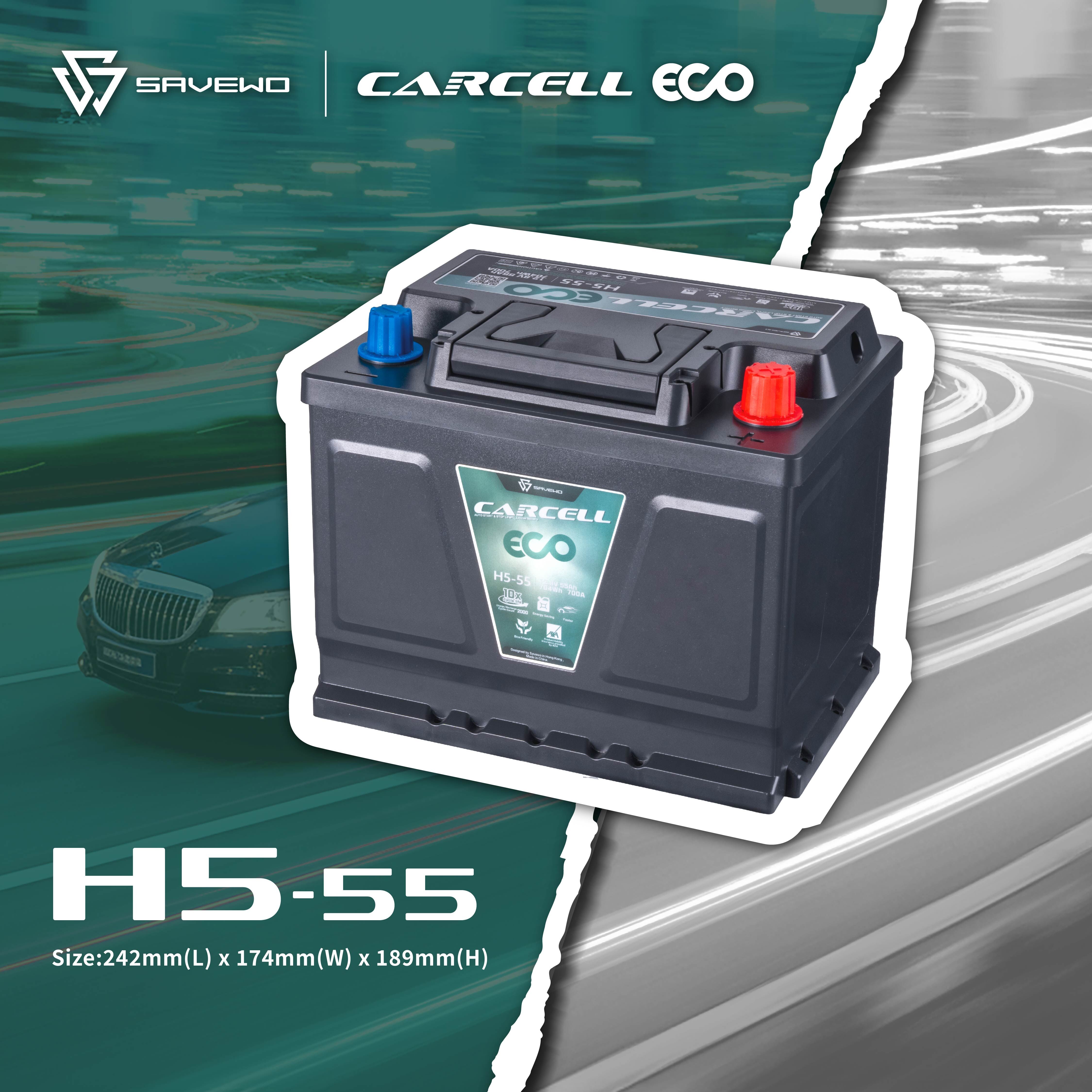 *原價$2099，預訂價$1799* SAVEWO CarCell ECO H5-55 救世汽車電池