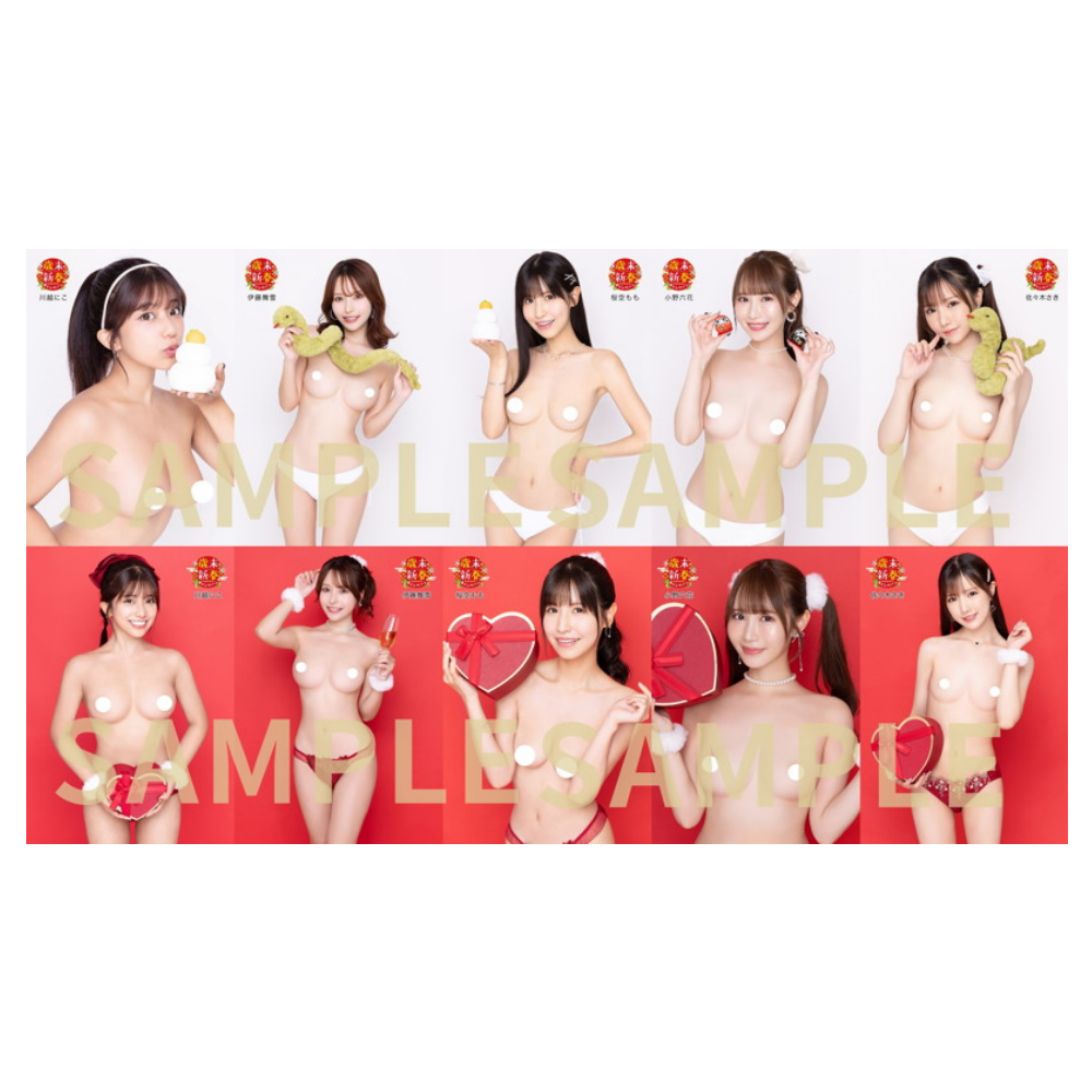 【歳末新春SUPERキャンペーン2024-2025】撮り下ろし生写真10枚セット