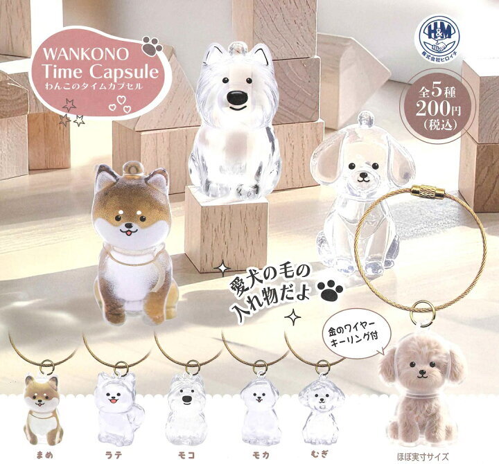 【現貨】透明狗毛儲存盒掛飾扭蛋(全5種)