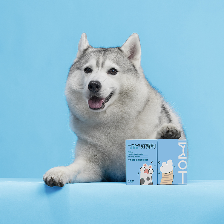 HOMI毛與家 好腎利 腎臟保健粉體驗組｜4入