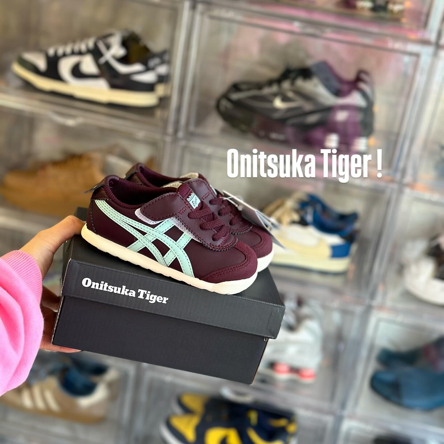 Onitsuka Tiger Mexico 66 Kids 酒紅 魔鬼氈 鬼冢虎 小童 中童 童鞋 1184A074-500
