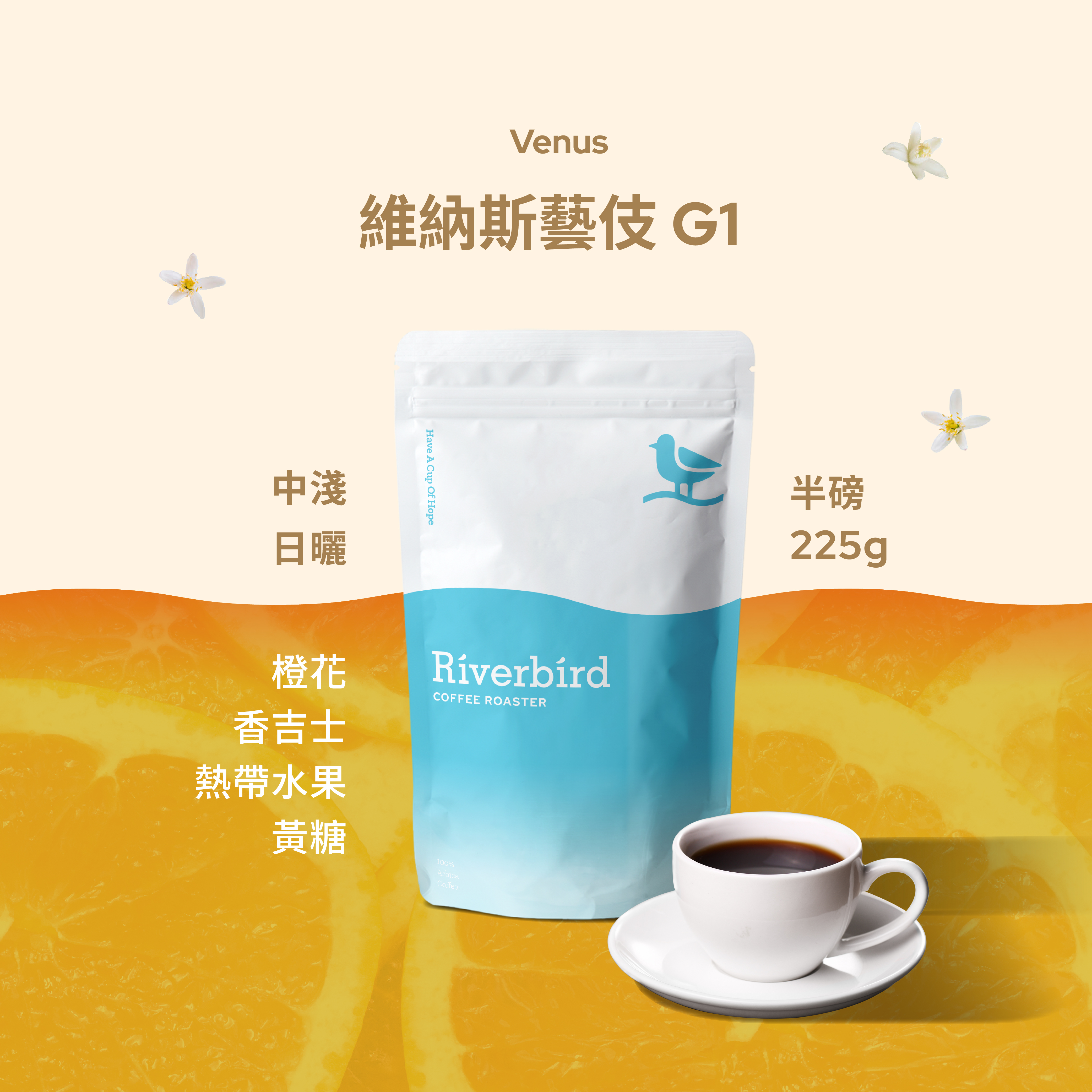 【Riverbird】《225g》維納斯藝伎 中淺焙